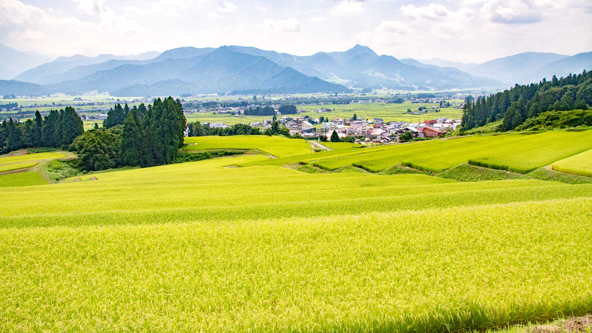 自家製魚沼産コシヒカリ棚田米と自慢の料理