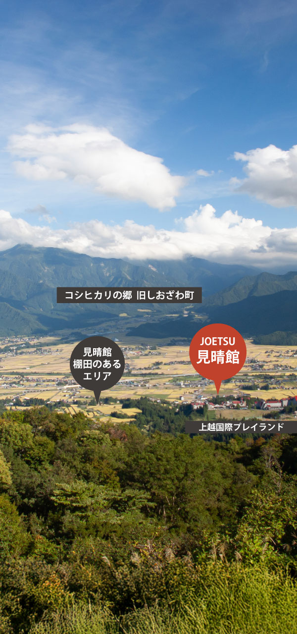 見晴農園　棚田のエリア