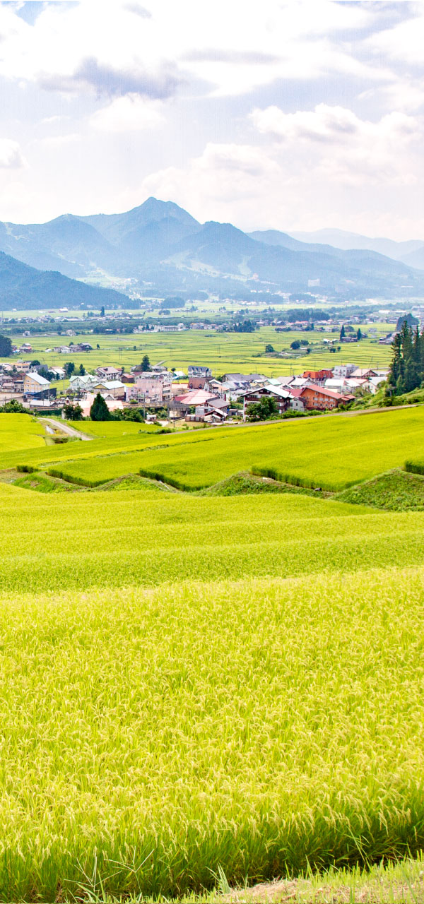 自家製魚沼産コシヒカリ棚田米と自慢の料理